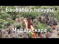 Достопримечательности Мадагаскара | Колючий лес | Африка | Алексей Рыжов