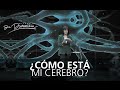 ¿Cómo está mi cerebro? - Rocio Corson - 10 Agosto 2014