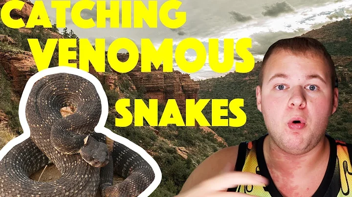 Herping in Arizona (Searching for venomous snakes!)