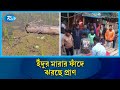 ইঁদুর মা/রার বৈদ্যুতিক ফাঁদ এখন মানুষ মা/রার ফাঁদ | Electric trap  | Rtv News