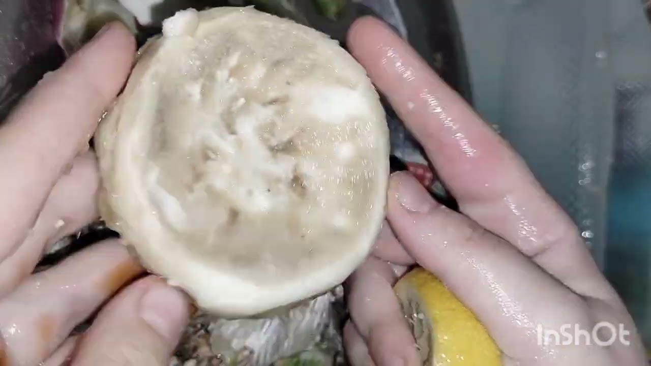 #تحضيرات_رمضان 2026🌜#تنظيفات_رمضان 2026⭐#وصفة بسبوسة 😋