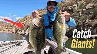 Dominate this Spring with these tips! April bass fishing made easy