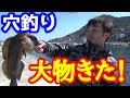 穴釣りで大物が釣れた！【穴釣り】