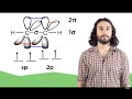 Bond Order and Hybridization Concepts