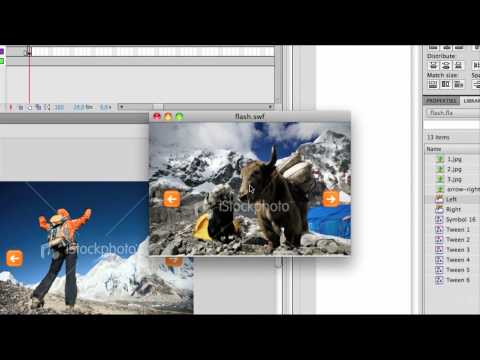 Web Design Tutorial