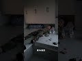 睡个屁你睡 喝酒就变身 睡觉是不可能的 睡个屁你睡 喝酒就变身 睡觉是不可能的