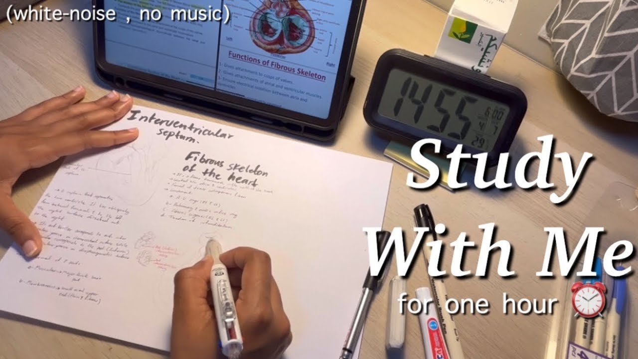 لندرس معًا ✨✍🏽| اصوات الخلفية ،بدون موسيقى. (ساعة من الانتاجية)