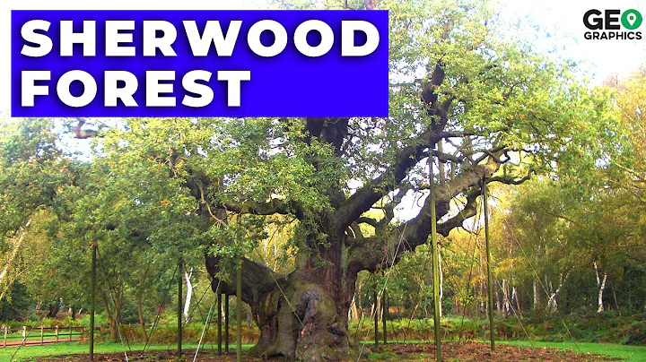 Sherwood Forest: Robin Hood, The King's Game, Haun...