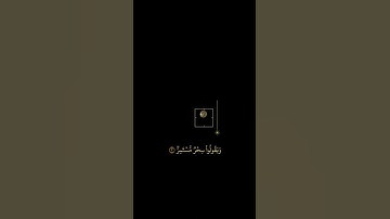 سورة القمر | الشيخ عكاشة كميني 🤍☘️