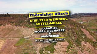 Thörnicher Ritsch an der Mosel – erster Eindruck aus einer der steilsten Lagen der Mittelmosel