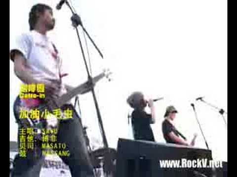 加油小毛虫