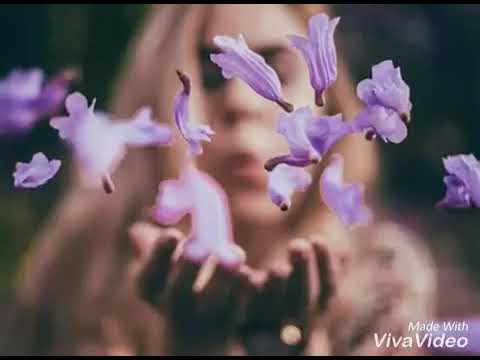 آع  شق شخص يتي آلت  ي ف شل الجم يع ف ي ت ق ليد