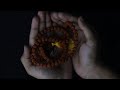 Isha Rudraksha Mala Panchamukhi (8mm bead) #shorts #shortvideo #isha #rudraksha