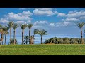 اشجار تتحمل الحرارة الشديدة والعطش مزهرة طول السنة اشجار تتحمل الحرارة الشديدة والعطش مزهرة طول السنة