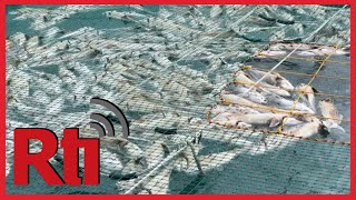Penghu islands suffer substantial losses after Typhoon Doksuri | Taiwan News | RTI