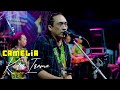 CAMELIA Cipt: H Rhoma Irama - REVATA - KEDER Irama - Live Sukoreno Prigen ( Cek Sound )