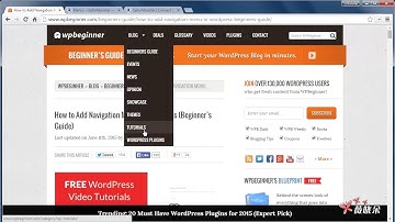 50 如何在WordPress中添加导航菜单