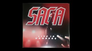 Saga: (Goodbye) Once Upon a Time [vinyl]