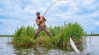 I Had Funny Moments - Surviving Alone in the Wild - Looking for Food