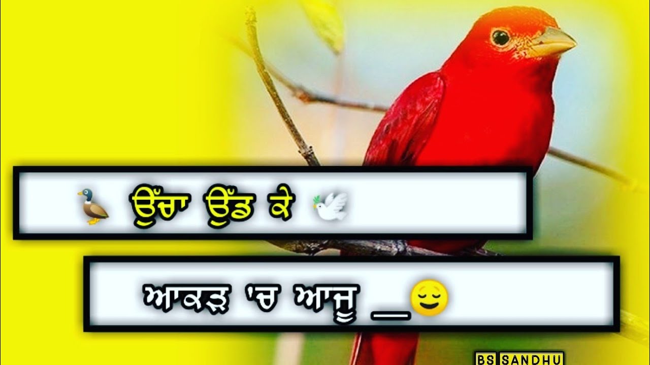 Ryt ? Whatsapp Status Punjabi Status 2021 | New Punjabi Song Status 2021 | Bs Sandhu