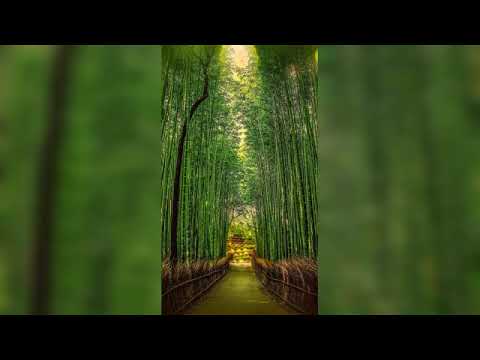 Instrument Seruling Bambu China, buat relaksasi, yoga dan bersantai