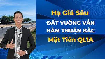 Hạ giá sâu mảnh đất vuông vắn Hàm Thuận Bắc, mặt tiền QL1A | Hiệp Bất Động Sản Official