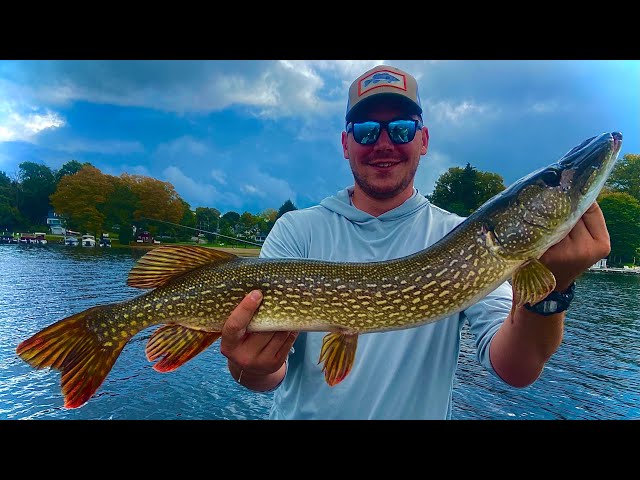 Fall Northern Pike Fishing in PA (42 Fish Day!) 