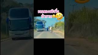 เอาล่ะซี้🤣🤣🤣🤣😂 #funnyvideo #funny #comedy #highlights #shortsfeed #shortvideo #shortsviral