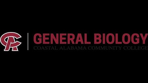 BIO 101-  Chapter 4 - Cell