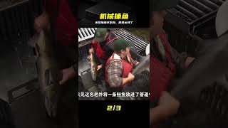 水泵抽魚真能不傷身？揭秘氣動傳輸原理，這捕魚神器絕了 #水泵抽鱼 #捕鱼神器 #原理 #气动传输 #螺旋离心泵 #高科技