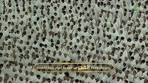 تلاوة من سورة القصص 57-75 للشيخ د. #بندر_بليلة فجر السبت 23 ربيع الآخر 1446هـ #المسجد_الحرام 