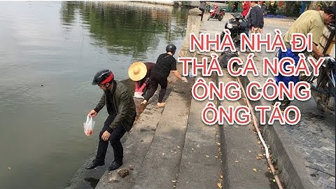 Thả Cá Chép Vàng Xuống Sông Tiễn Ông Công Ông Táo Về Trời| Thả cá chép tại hồ tây