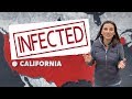 Калифорния готовится к эпидемии | Коронавирус ударил по США