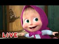 ماشا والدب 🌟 LIVE STREAM! 👧 إلى أين تجري هذه الفتاة؟ 🏃‍♀️ Masha and the Bear