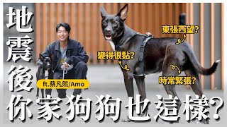 這兩個原則狗狗地震不再怕ft.蔡凡熙/Amo熊爸估狗