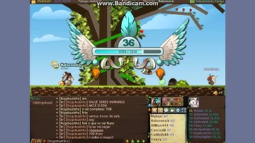 Transformice edu pegando 700 first #1 demora xD