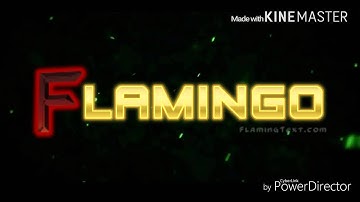 MY FIRST VIDEO!!! FIRST INTRO FLAMINGO!