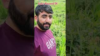 Sabzi Kasrood Di || Dachan Gali Gool Dist Ramban Jammu and Kashmir 