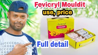What is Fevicryl Mouldit clay, its uses, price, and where to buy: Full details | Govind Arkhvanshi