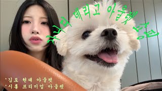 아울렛가서 쇼핑 성공??? ( 김포현대아울렛, 시흥아울렛) * 마사지 받고 쉐이크추천도 하는 나름 식단ㅋ 관리ㅋ 브이로그 * 다꾸하고 소소한 슴슴한 백숙 맛브이로그