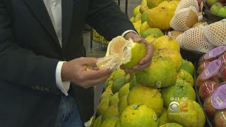 Fresh Grocer: Ugly Fruit Sweet On The Inside