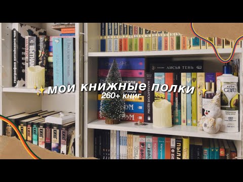 Мои Книжные Полки 2024 || 260 Книг || Ti Delly