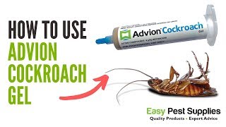 How to Use Advion Cockroach Gel