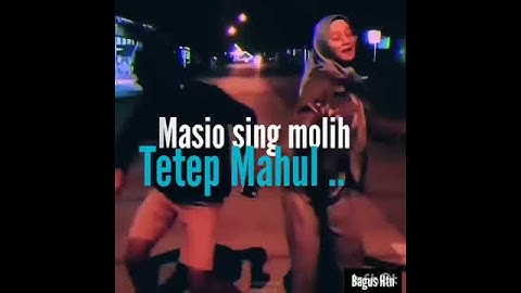 Story santuy bahasa osing banyuwangi