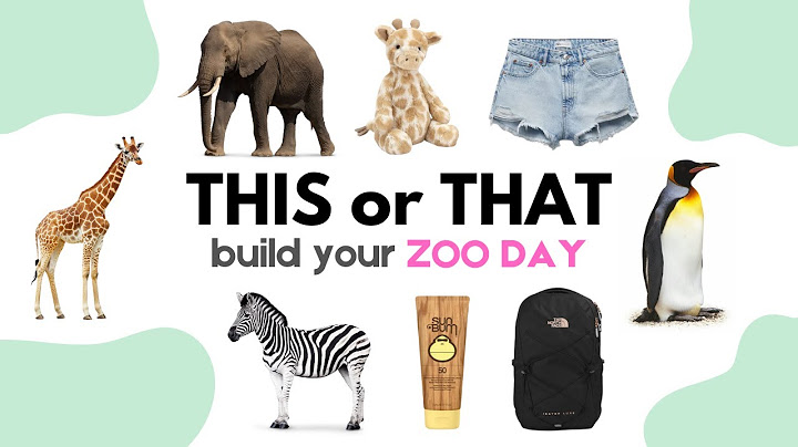 Build Your DREAM Zoo Day | THIS or THAT 🐼🐘🐒