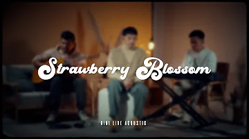 RINI - Strawberry Blossom (Live Acoustic Performance)