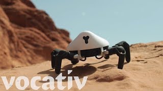 The HEXA Spider Robot Can Walk, Learn, And Give You Nightmares