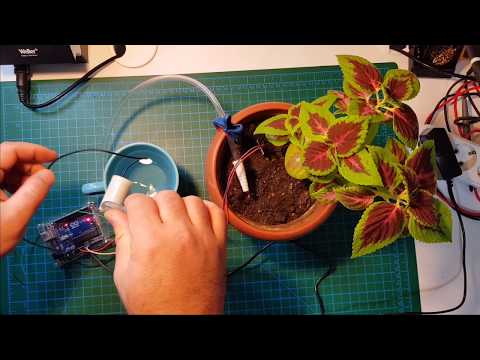 Arduino Automatic Watering System