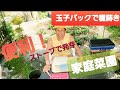 【きみぽん菜園生活/vlog】自然栽培/家庭菜園/タッパー温室/玉子パック/発芽実験