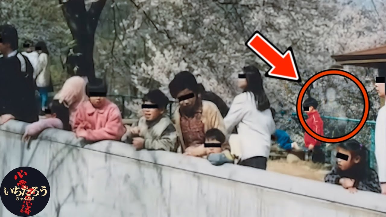 【心霊写真】お花見写真に写った“色のない着物の女性”…毎年戻る霊の正体とは(心霊画像10選)